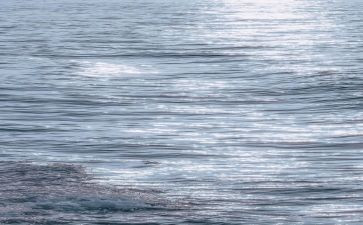 干净的我教案通用8篇