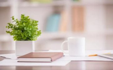 干净的我教案5篇