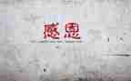 感谢母校作文通用8篇