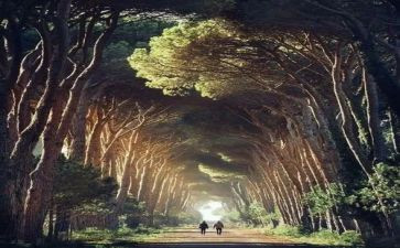 告别母校为作文参考6篇