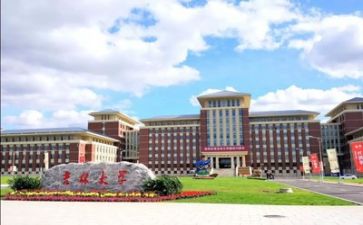 高校教师年度工作总结8篇