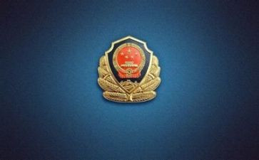公安工作总结5篇