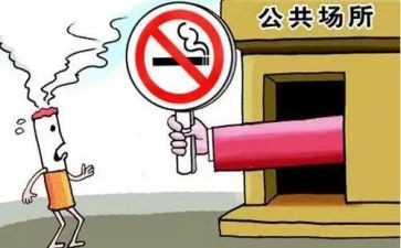 公共卫生科工作计划最新7篇