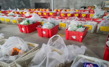 苗木供货合同7篇