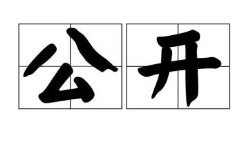 公开日作文优秀8篇