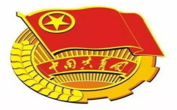 市优秀共青团干部事迹材料5篇
