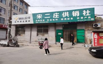 2024年县供销社工作总结8篇