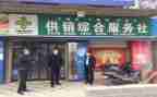 县供销社个人总结7篇