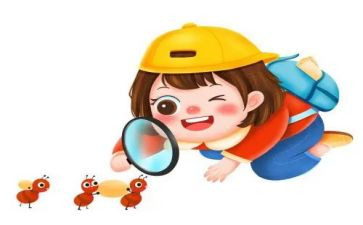 观察笋作文优质5篇