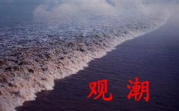 观潮听课心得体会优质6篇