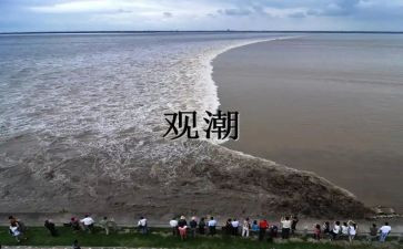 观潮听课心得体会精选7篇
