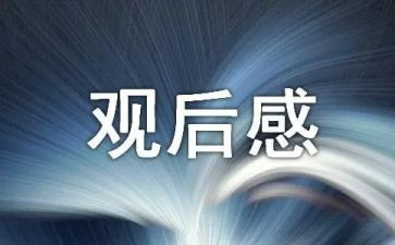关向应观后感心得体会最新6篇