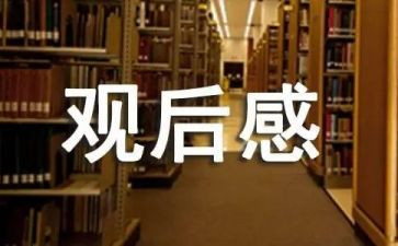 文艺活动观后感5篇