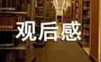 文艺活动观后感5篇