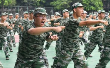 观训心得体会200字精选5篇