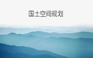 国土局办公室工作总结6篇