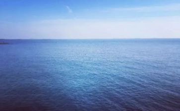 海归青年事迹材料8篇