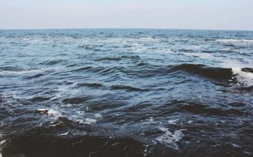 海的老人读后感模板7篇