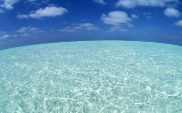 海训期间思想汇报5篇
