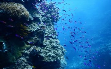海底两读后感400字精选6篇