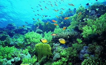 读后感海底两万里读后感7篇