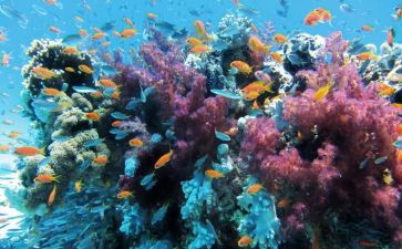海底两读后感600字通用8篇