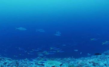 海底两万里读书心得体会8篇