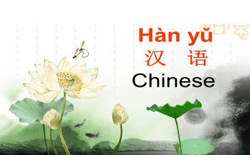 汉语言文字工作总结参考8篇