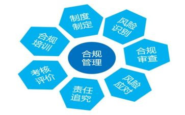 合规管理述职报告7篇