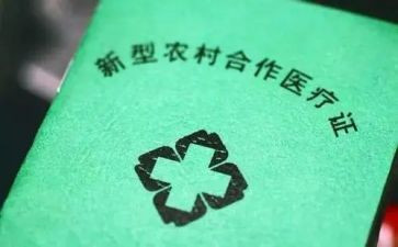 报合疗申请书模板6篇