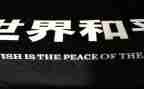 和平与战争的心得体会5篇