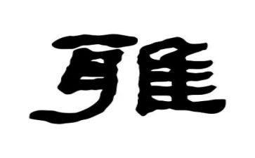 争做和雅少年演讲稿精选8篇
