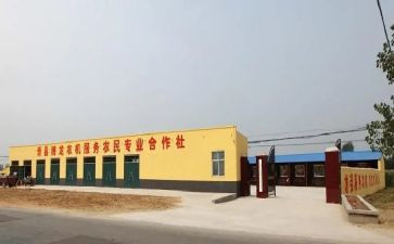 合作社的调研报告7篇
