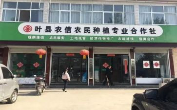合作社土地流转合同6篇