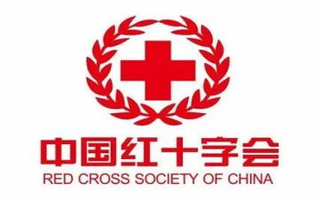 红十字会半年工作总结7篇