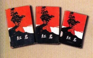 读了红岩的读后感8篇