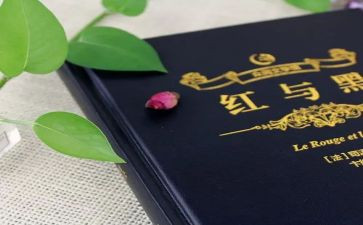 《红与黑》心得体会8篇