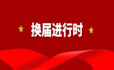 镇社区两委换届工作总结6篇