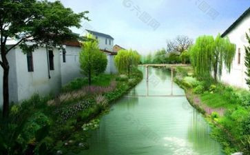 有关环境的调查报告7篇