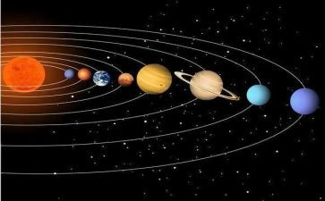 鱼的幻想读后感5篇