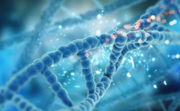 初中理化生组工作总结8篇
