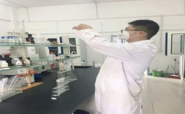 2024年化验工作总结精选8篇