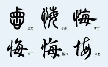 不后悔作文800字精选7篇