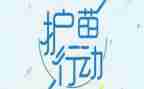 护苗行动心得体会2023参考8篇
