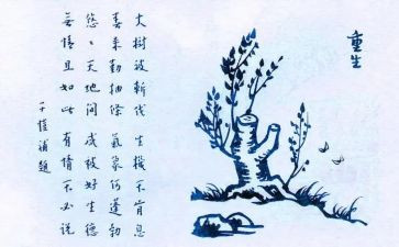 守护生命作文6篇