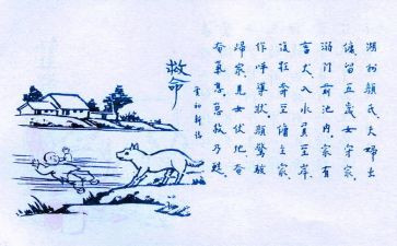 呵护生命作文6篇
