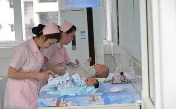 护士个人半年度工作总结精选8篇