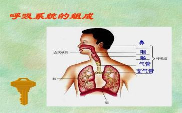 在呼吸内科科的自我鉴定推荐7篇
