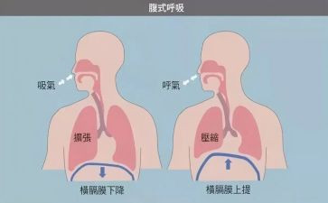 在呼吸内科科的自我鉴定5篇