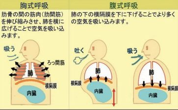 呼吸内科个人述职报告5篇